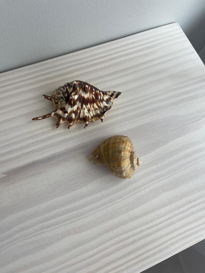 Cricket Apartment